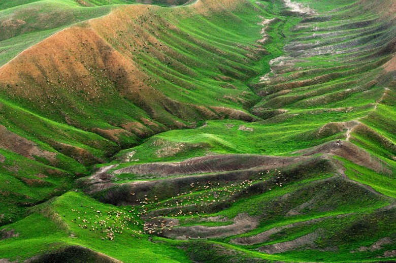 Turkmen Sahra: Experience The Authenticity And Adventure 2 Turkmen Sahra In Golestan Province Iran