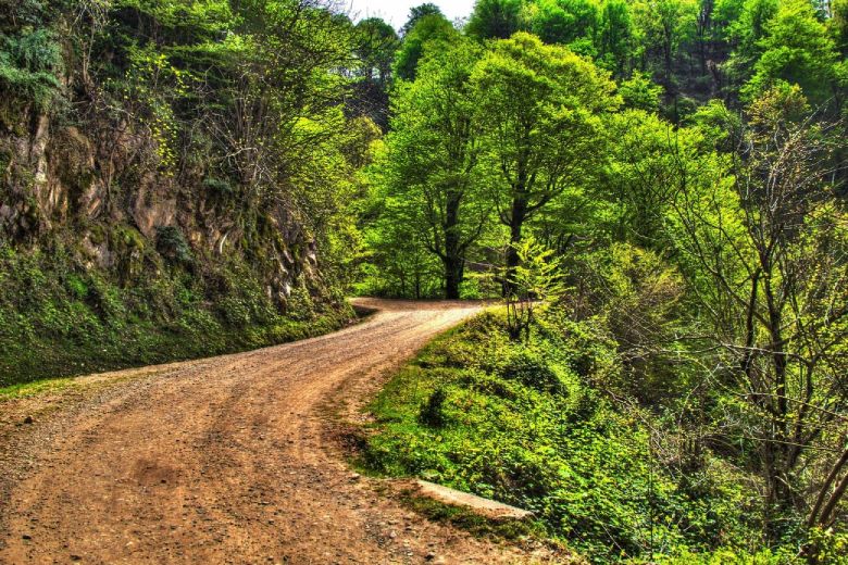 Explore Lahijan: A Complete Travel Guide 17 A Beautiful Shot Of A Dirt Road In Mountains Of Lahijan, Iran
