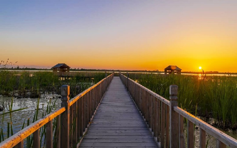 Explore Lahijan: A Complete Travel Guide 12 Amir Kalayeh International Wetland, Lahijan, Iran
