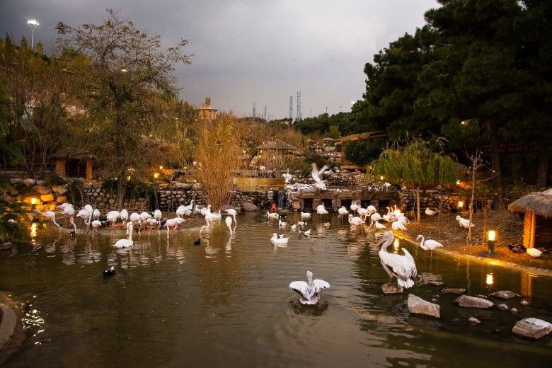 Tehran Bird Garden: A Complete Visitor'S Guide 7 Bird Garden Of Lavizan, Tehran
