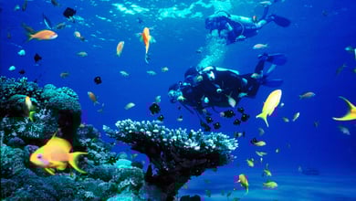 Diving Spots in Qeshm Island