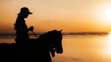Kish Equestrian Centre: Horse Riding In Kish Island 11 Kish Equestrian Centre