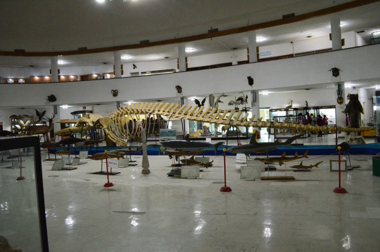 Complete List Of The Best Museums In Shiraz 18 Museum Of Natural History And Technology, Shiraz