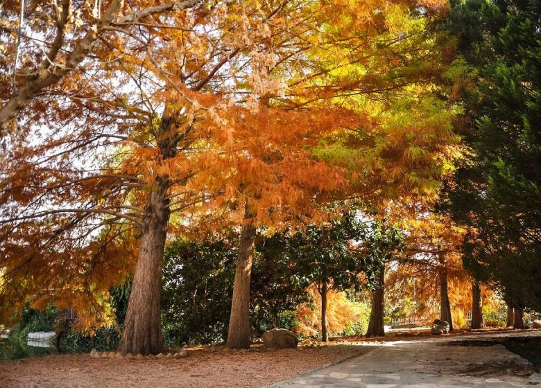 Best Time To Visit Isfahan: A Complete Guide For Travelers 4 Isfahan In Fall