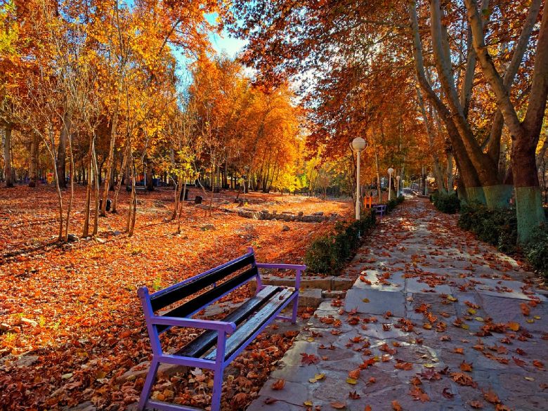 Best Time To Visit Mashhad: A Comprehensive Guide 4 Mashhad In Fall