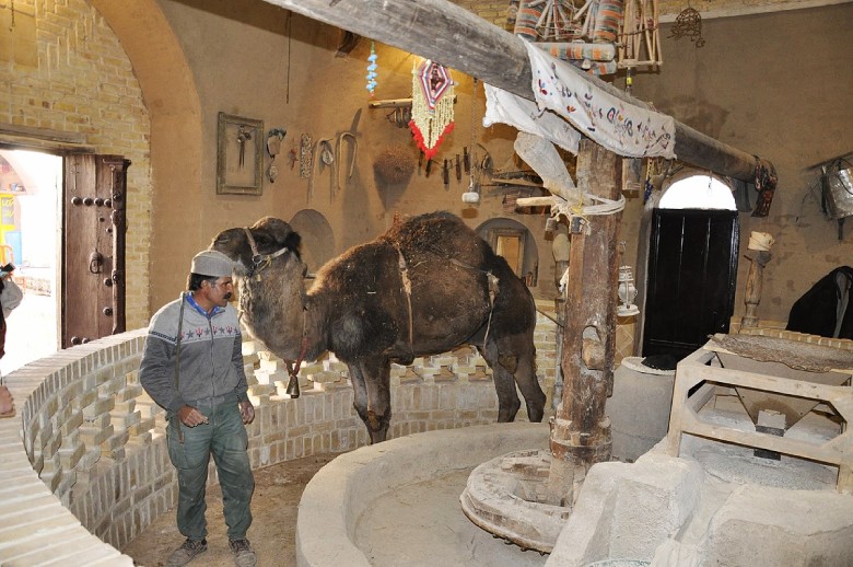 Discover Varzaneh: A Desert City Near Isfahan 11 Camel Mill, Varzaneh