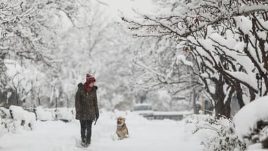 Does It Snow In Iran? A Traveler’s Winter Guide 4 Does It Snow In Iran?