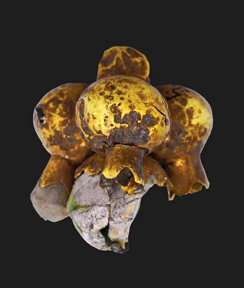 The Pomegranate In Iran: A Symbol Of Life, Faith, And Art 2 Golden And Stone Pomegranate Shaped Earring, St Millennium Bce, Historic Hasanlu Tepe, West Azerbaijan