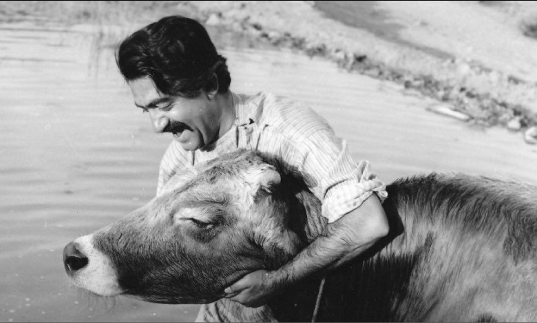 Iranian Cinema: Inspiring Global Film Narratives 3 The Cow Movie By Darius Mehrjui, The Iranian New Wave (1969)