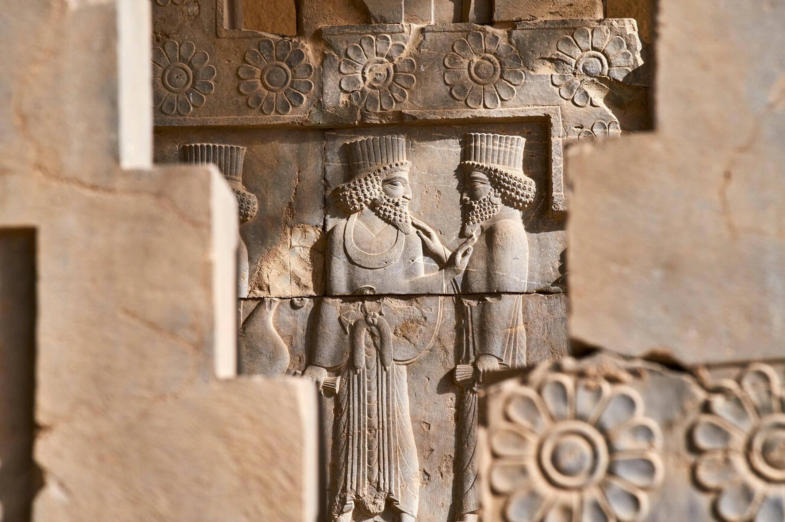 The Aryans History: A Journey Through Culture, Legacy, And Migration 13 Tributary Procession At Persepolis