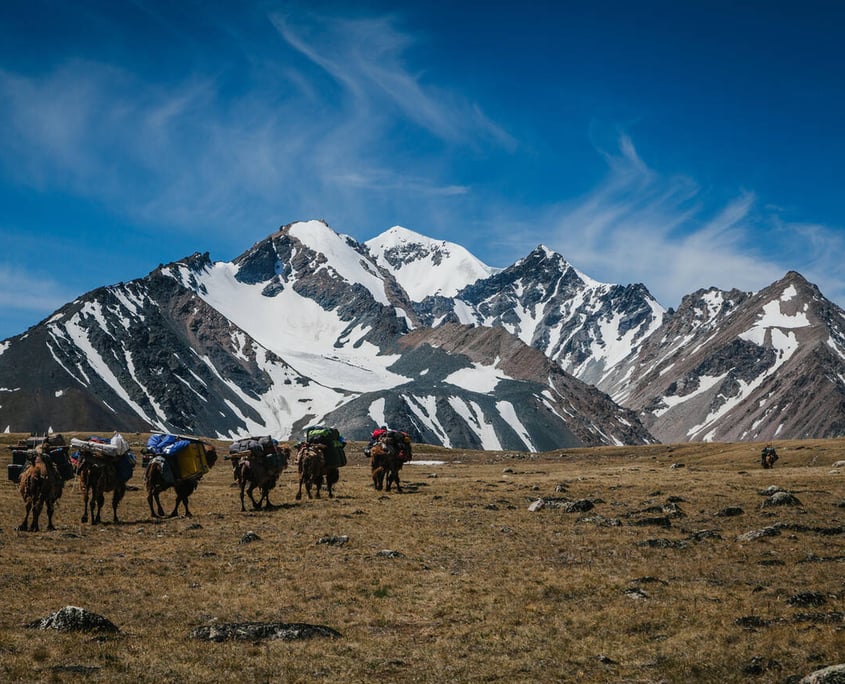 Mongolia Nature