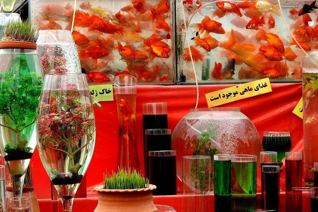 Traditional Nowruz Preparations And Rituals