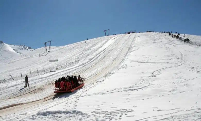 abali-ski