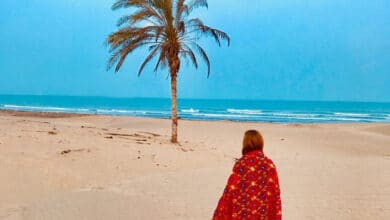 Iran'S Darak Beach – Where The Sea Meets The Desert 3 Darak Beach