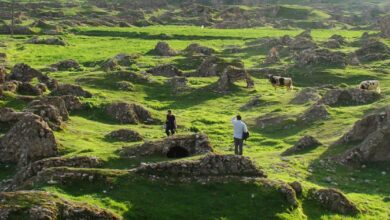 Historical City Of Seimareh 1 Historical City Of Seimareh