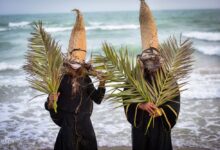 Nowruz Sayyad A New Day For The Prey And The Hunter