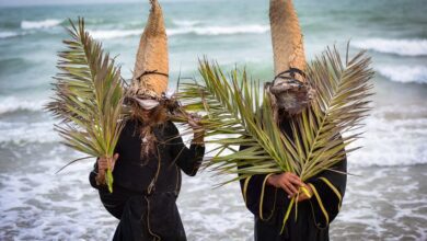 Nowruz Sayyad: A New Day For The Prey And The Hunter 8 Nowruz Sayyad A New Day For The Prey And The Hunter