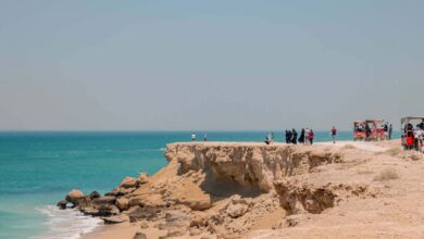 Qeshm Island: An Unmissable Destination In Iran 1 Why You Should Visit Qeshm Island