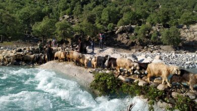 Reasons Nomads Are Worth Visiting