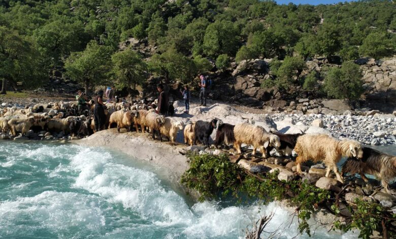 5 Reasons Iran Nomads Are Worth Visiting 1 Reasons Nomads Are Worth Visiting