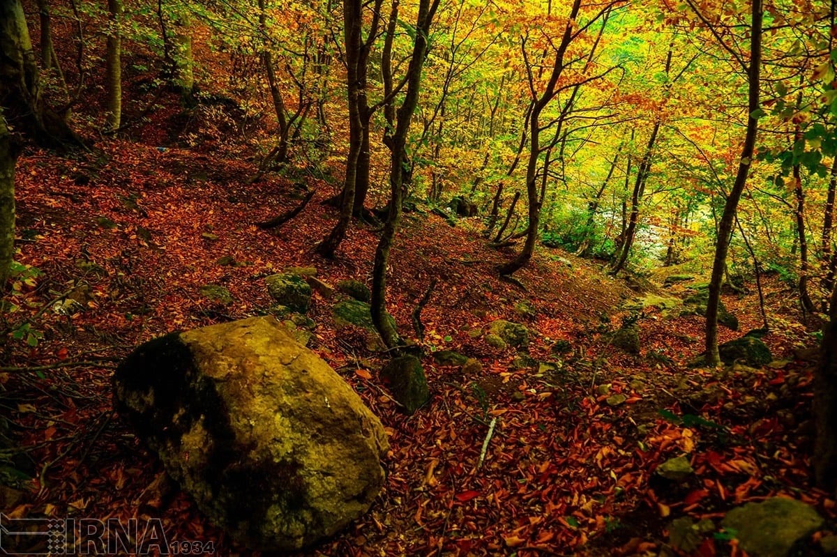 Asalem To Khalkhal: The Most Scenic Forest Road Of Iran Asalem To Khalkhal: The Most Scenic Forest Road Of Iran