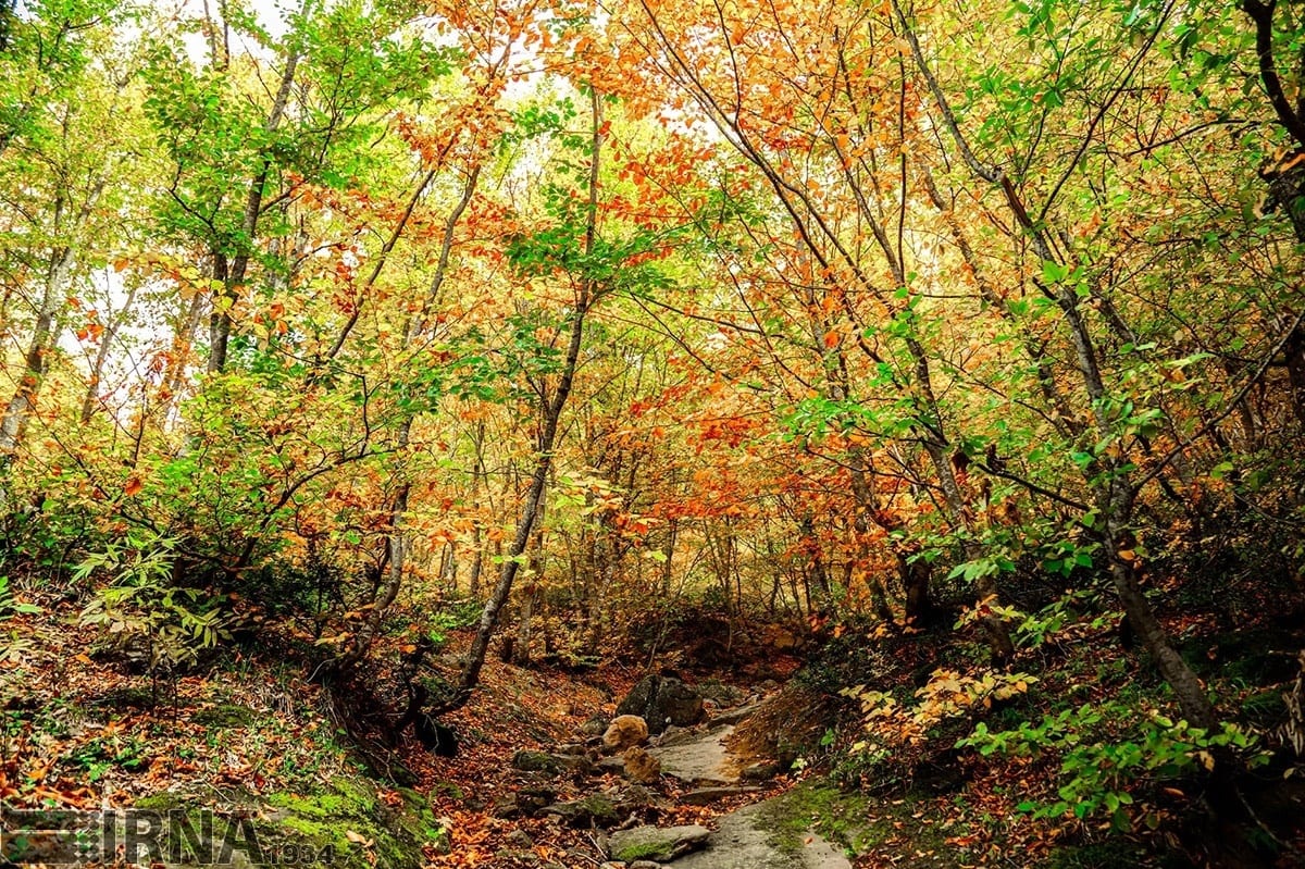 Asalem To Khalkhal: The Most Scenic Forest Road Of Iran Asalem To Khalkhal: The Most Scenic Forest Road Of Iran
