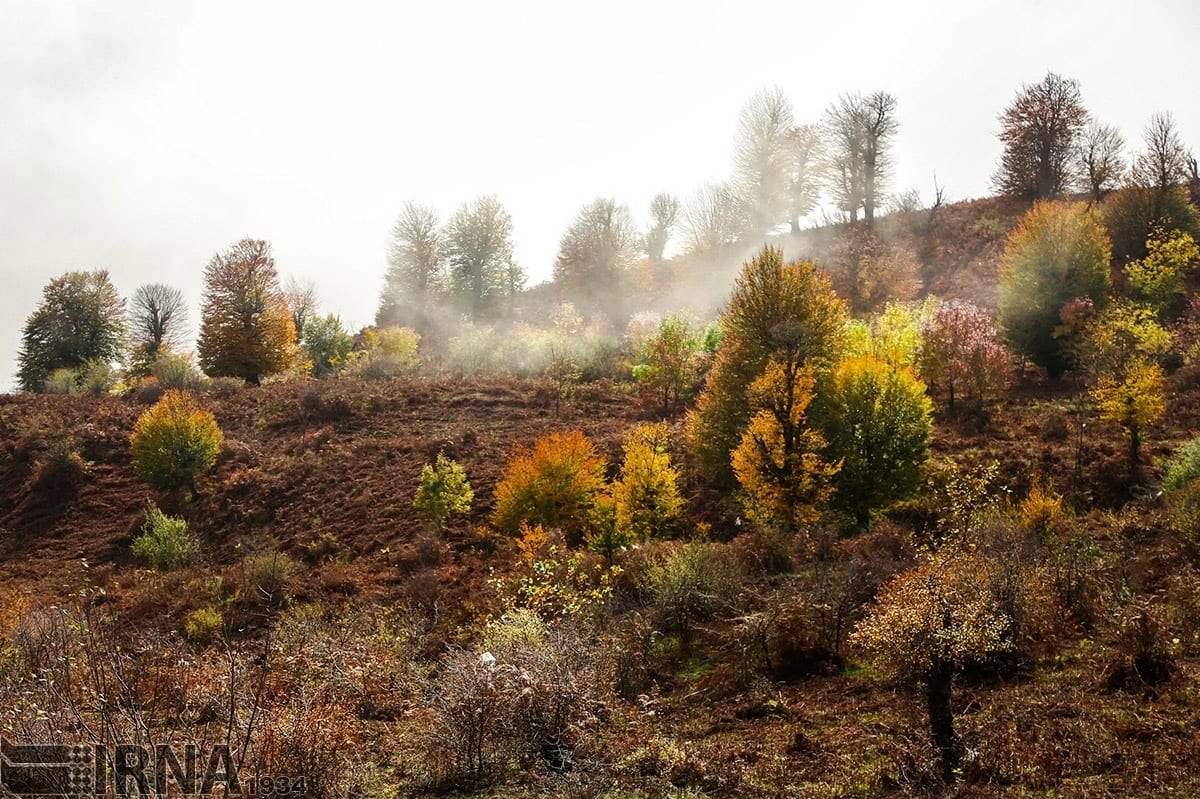 Asalem To Khalkhal: The Most Scenic Forest Road Of Iran Asalem To Khalkhal: The Most Scenic Forest Road Of Iran