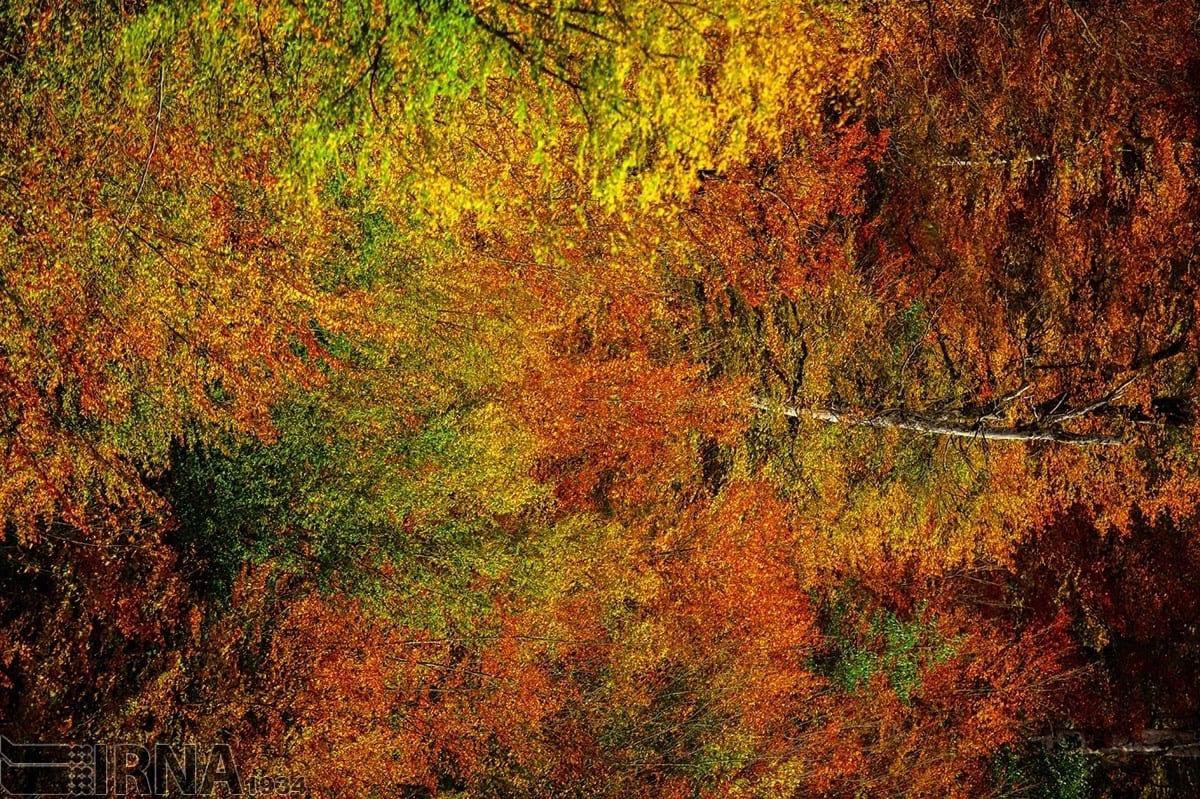 Asalem To Khalkhal: The Most Scenic Forest Road Of Iran Asalem To Khalkhal: The Most Scenic Forest Road Of Iran