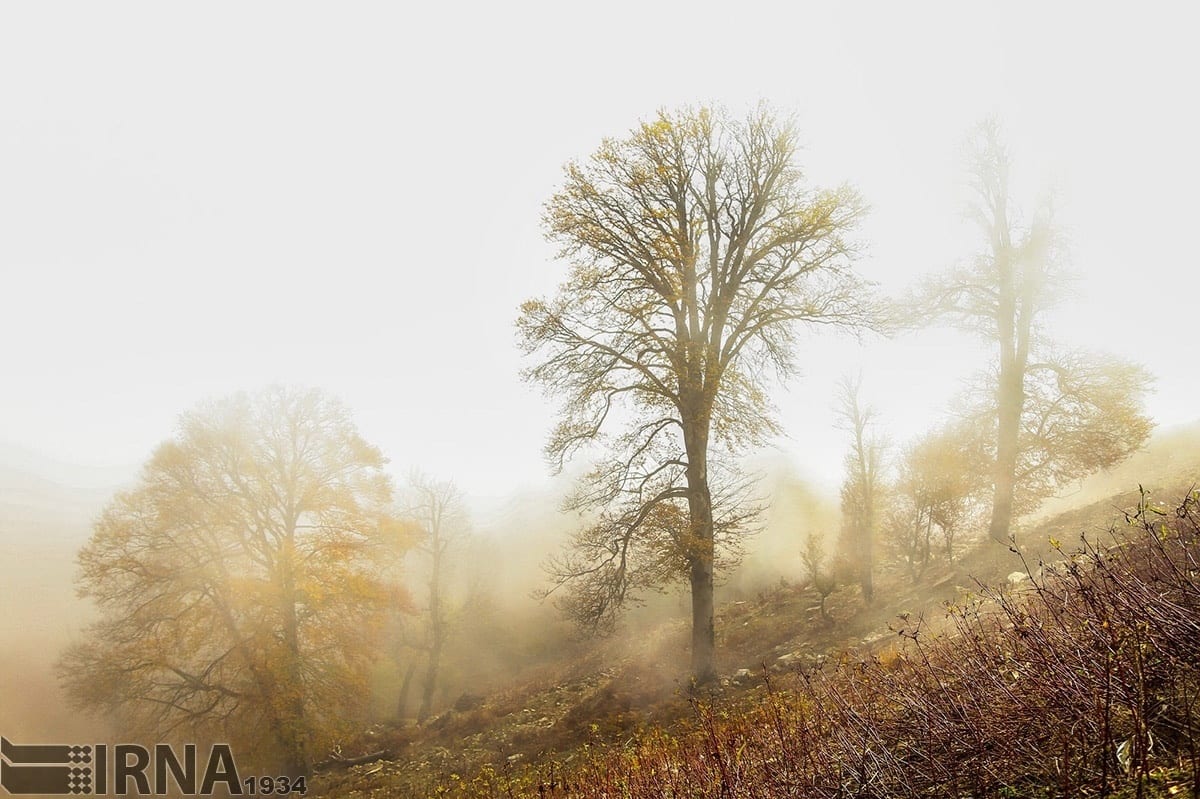 Asalem To Khalkhal: The Most Scenic Forest Road Of Iran Asalem To Khalkhal: The Most Scenic Forest Road Of Iran