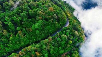 Asalem To Khalkhal The Most Scenic Forest Road Of Iran