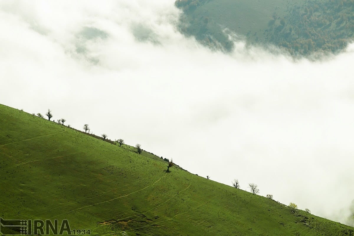 Asalem To Khalkhal: The Most Scenic Forest Road Of Iran Asalem To Khalkhal: The Most Scenic Forest Road Of Iran