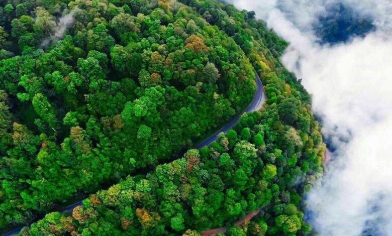 Asalem-Khalkhal: Iran'S Most Picturesque Forest Route 1 Asalem To Khalkhal The Most Scenic Forest Road Of Iran