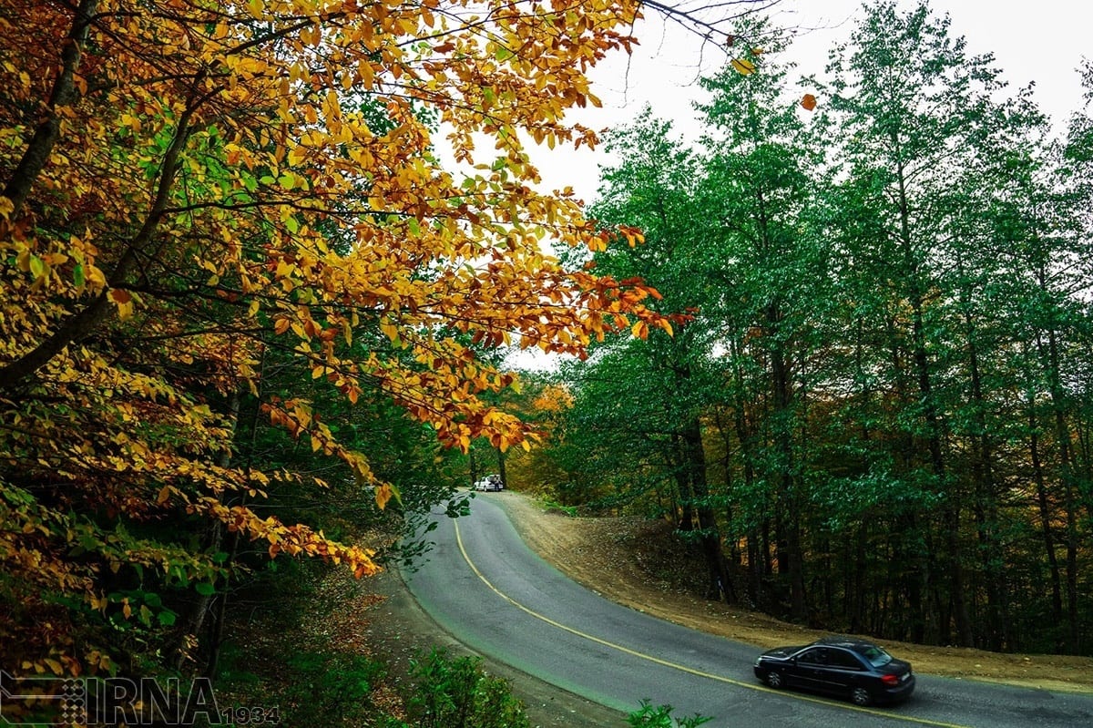 Asalem To Khalkhal: The Most Scenic Forest Road Of Iran Asalem To Khalkhal: The Most Scenic Forest Road Of Iran