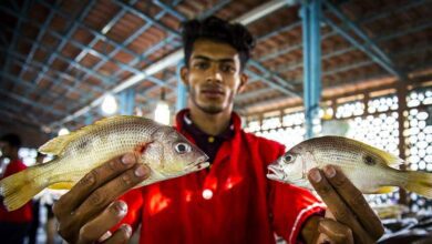 Bandar Abbas Fish Market In Southern Iran 1 Bandar Abbas Fish Market In Southern Iran