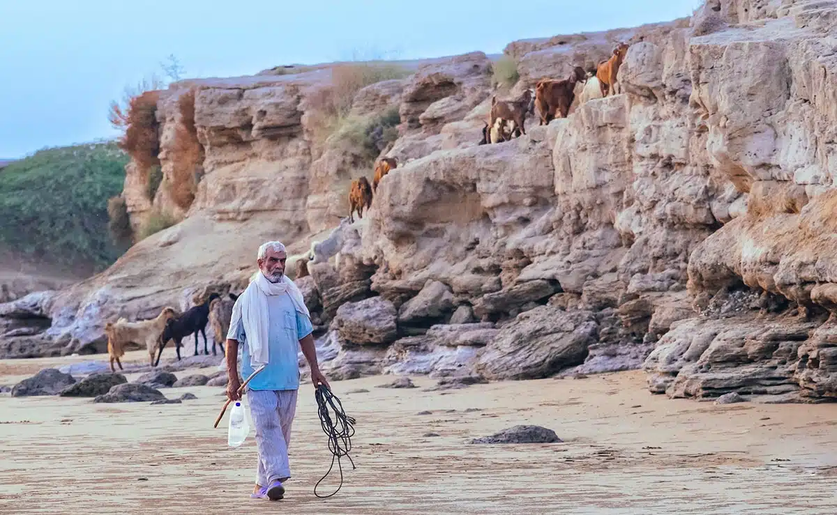 Bushehr