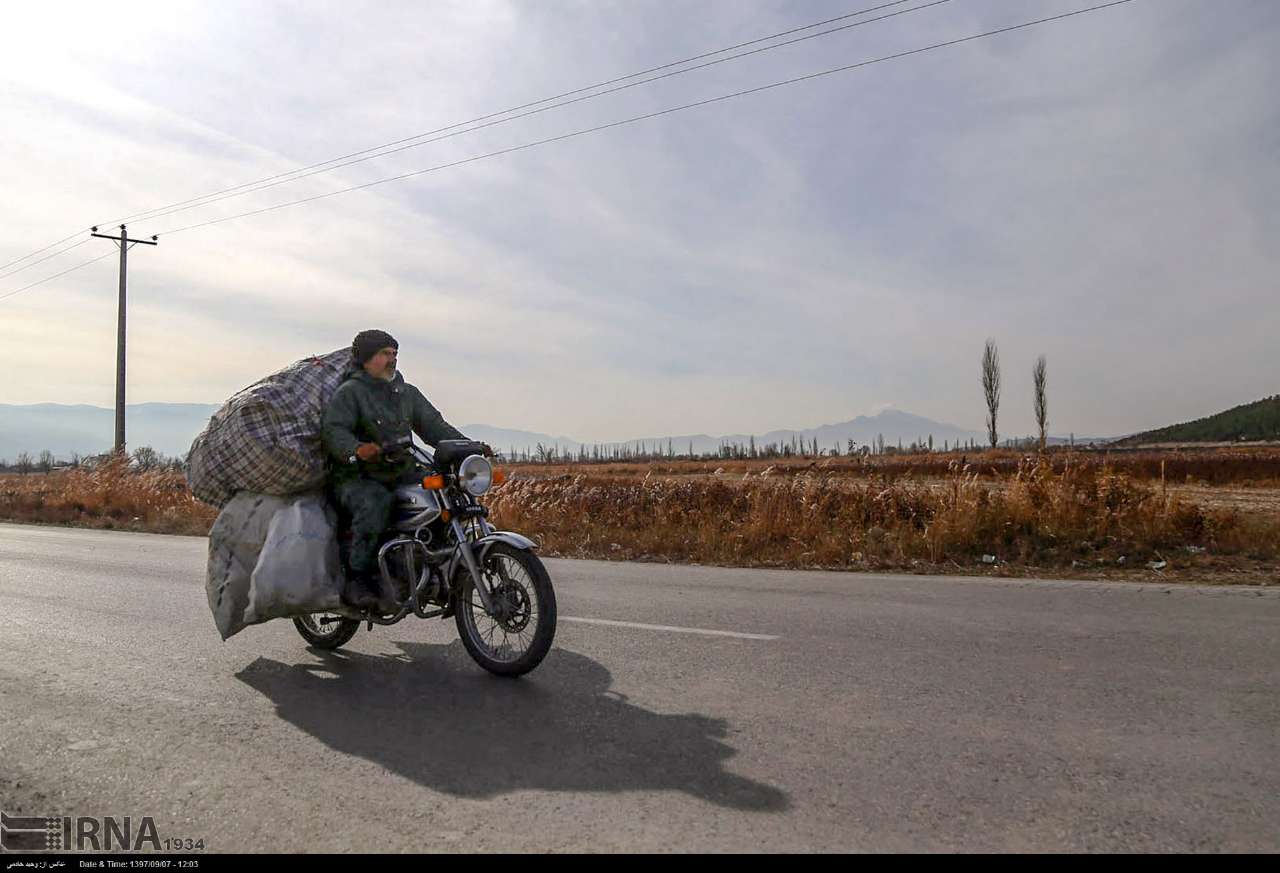 Cotton Harvesting In North Khorasan, Iran Cotton Harvesting In North Khorasan, Iran