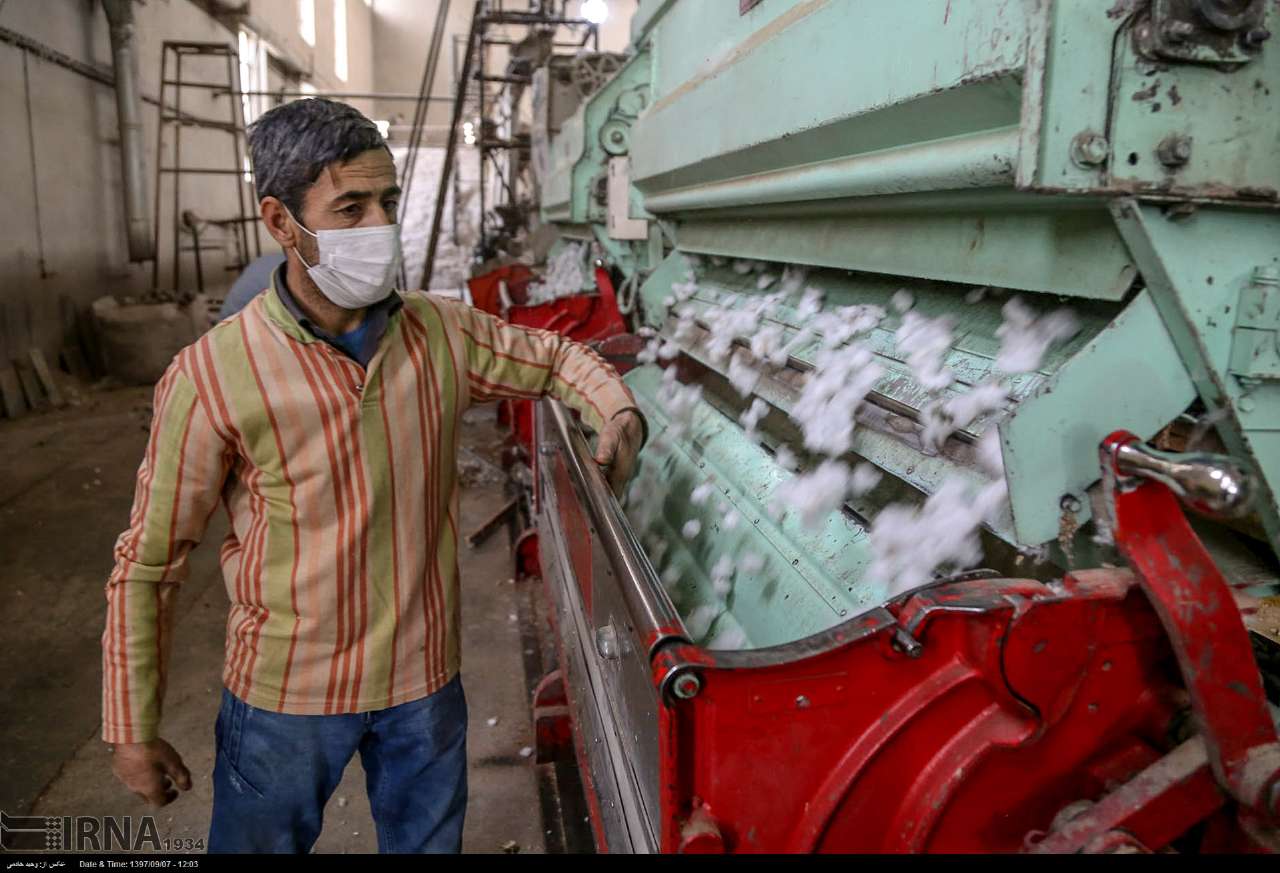 Cotton Harvesting In North Khorasan, Iran Cotton Harvesting In North Khorasan, Iran
