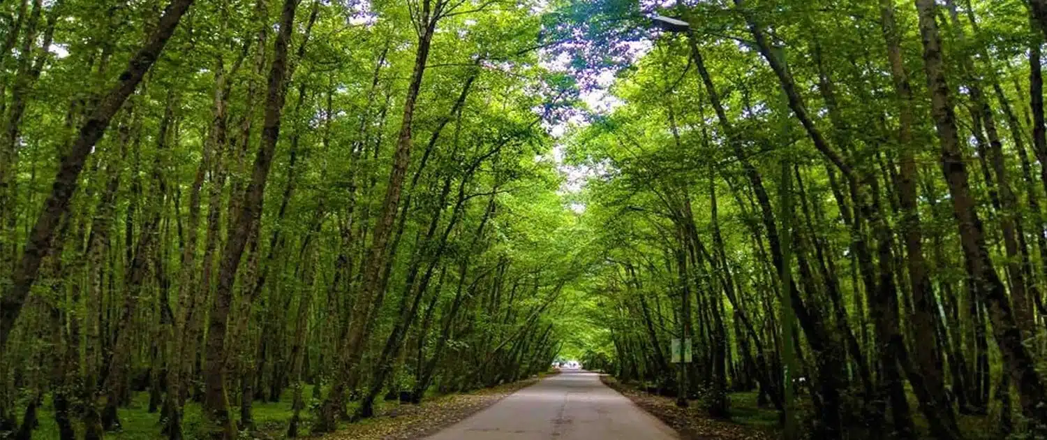 The Most Beautiful Biking Destinations in Iran - SURFIRAN