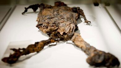 Dutch Antiques On Show In Iran National Museum 5 Dutch Antiques Show Opens In Tehran