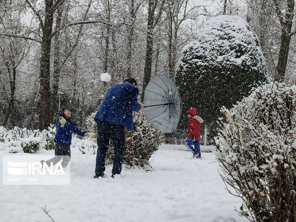 First Snow of Winter 2020 Arrives in Tehran