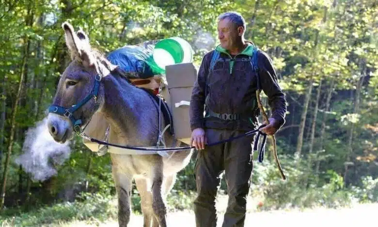 German Adventurer is Walking to Iran, with his Donkey