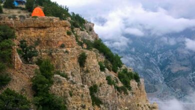 Exploring The Golestan National Park 3 Golestan National Park