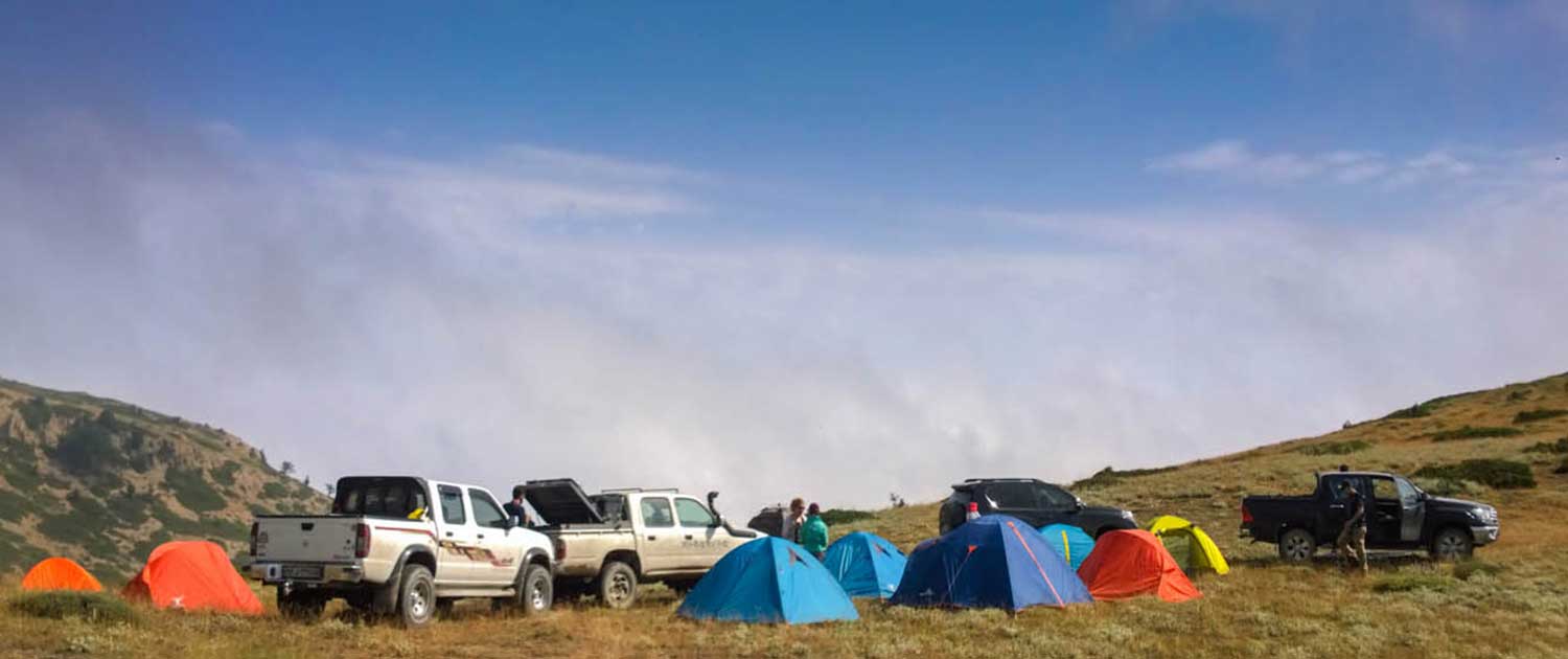 Exploring The Amazing Golestan National Park With Surfiran Exploring The Amazing Golestan National Park With Surfiran