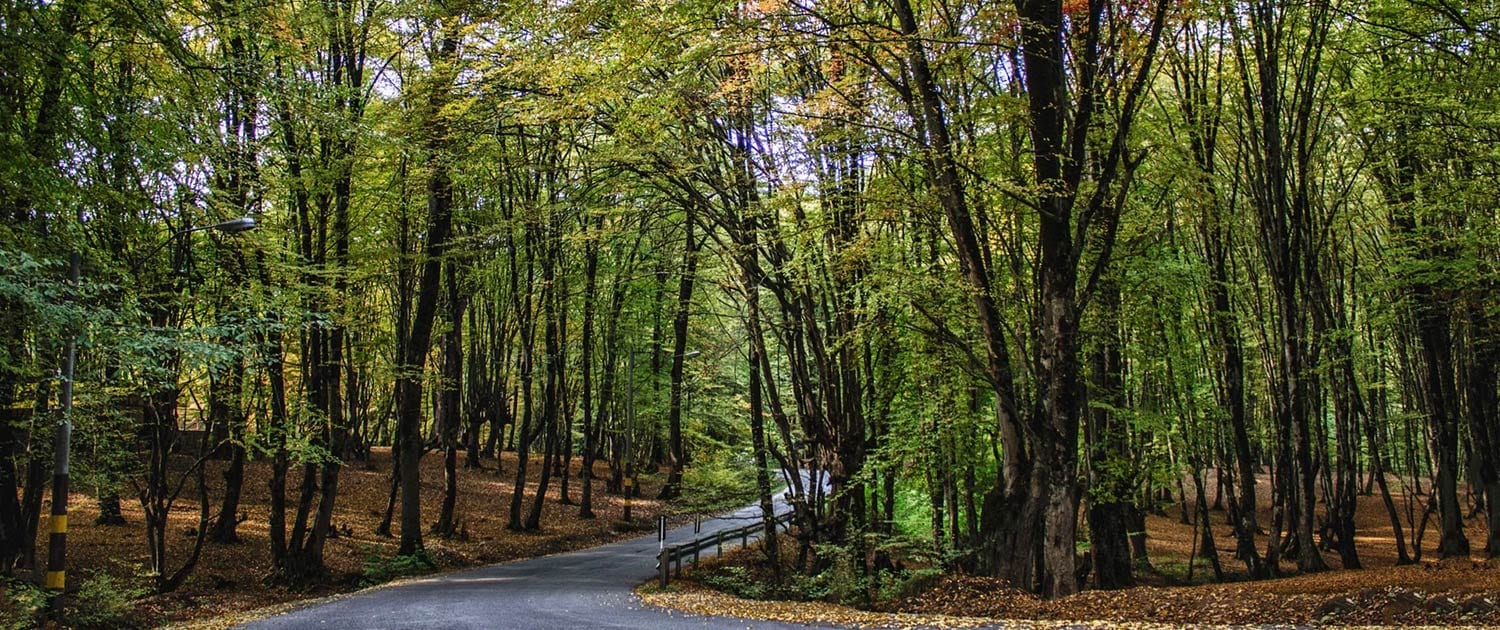Golestan Golestan