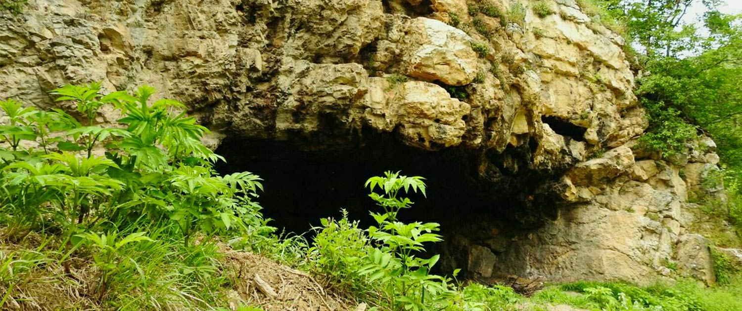 Golestan Golestan