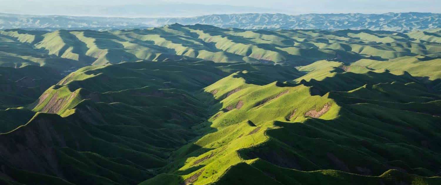Golestan Golestan