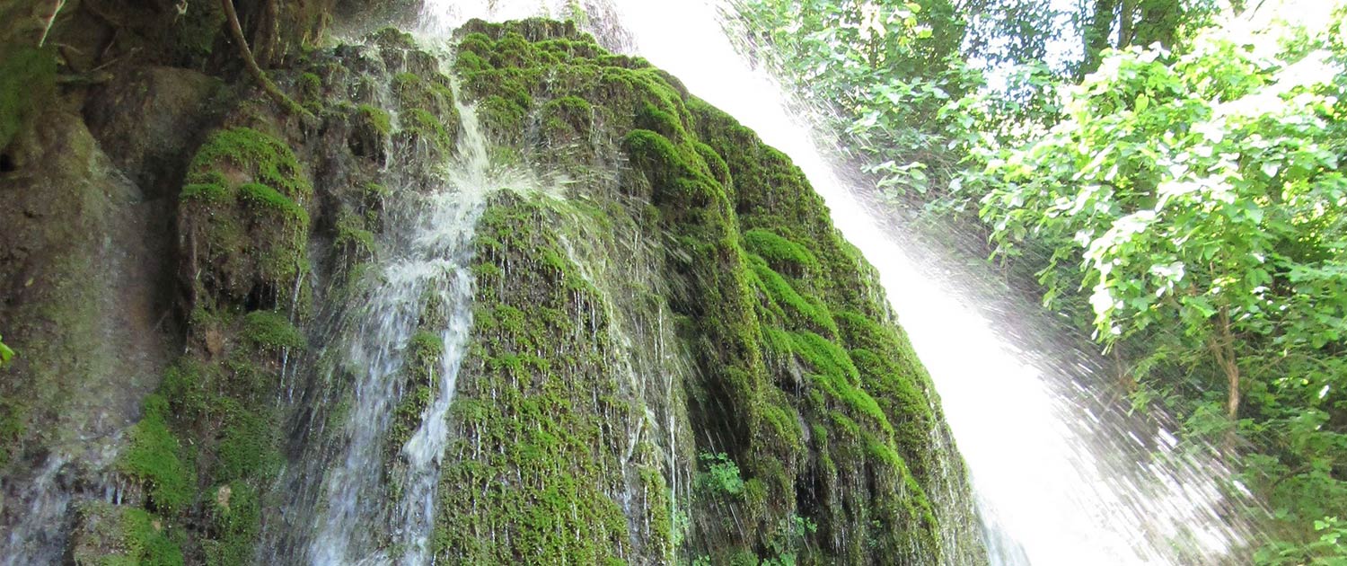 Golestan Golestan