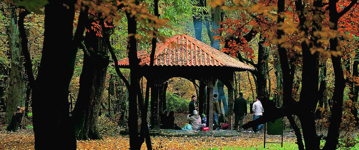 Golestan Golestan