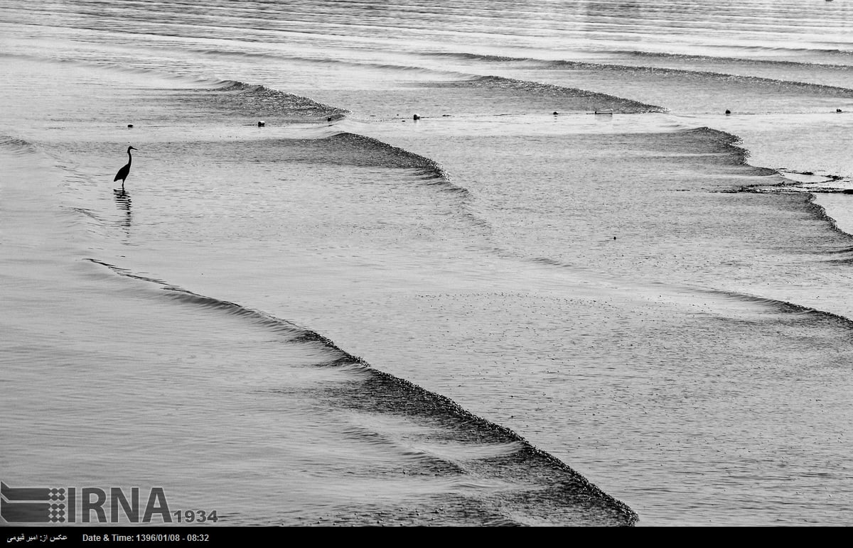 Qeshm Island