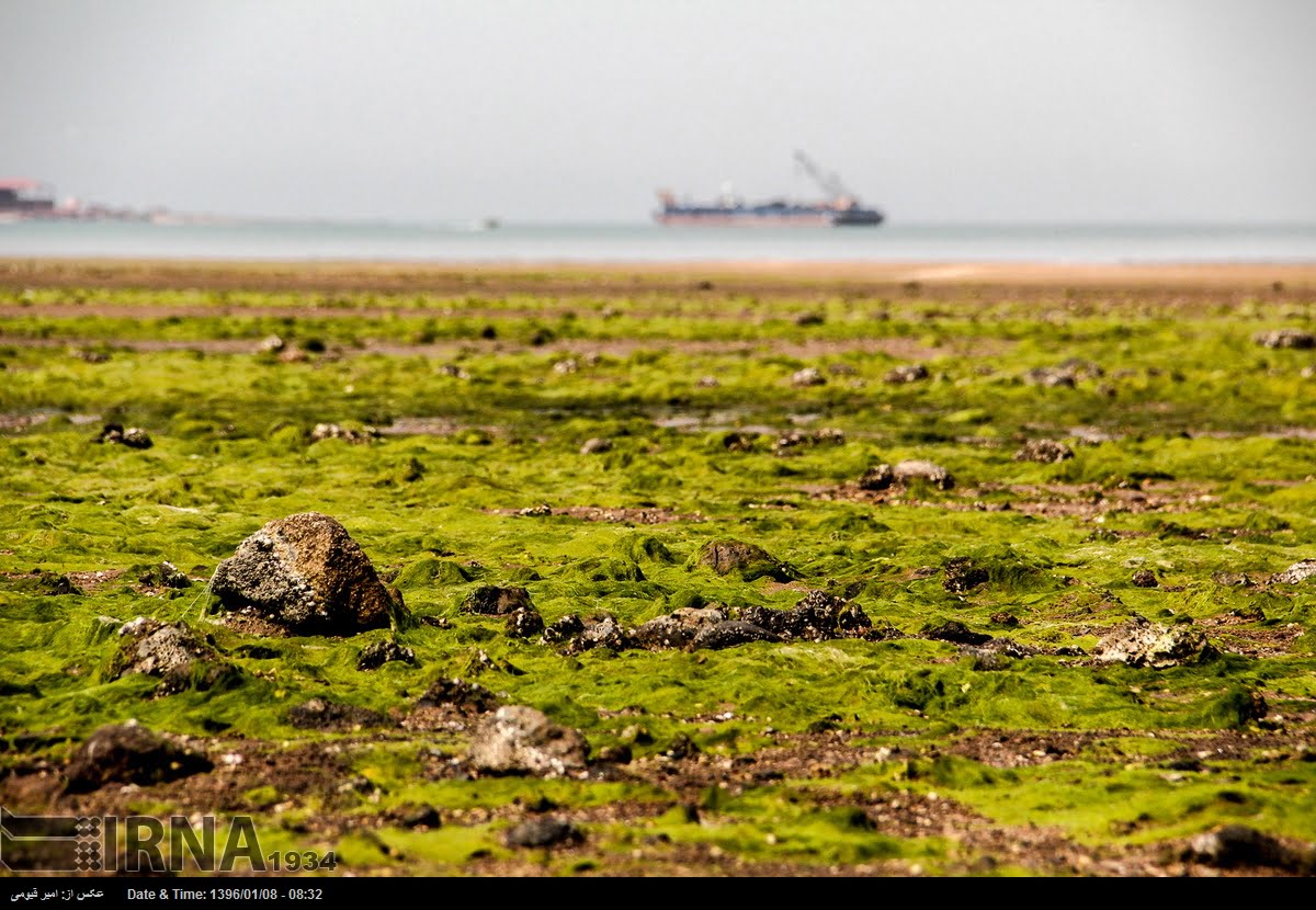 Qeshm Island
